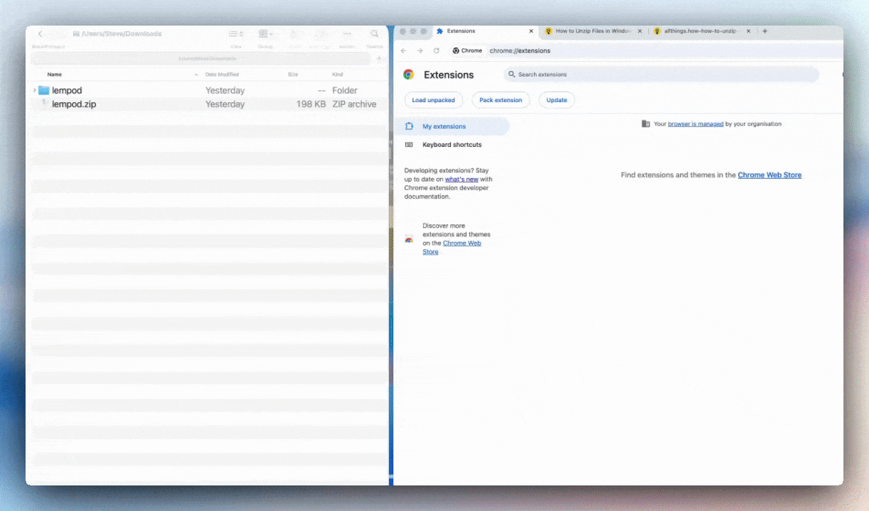 Drag the extracted lempod folder into the chrome://extensions page